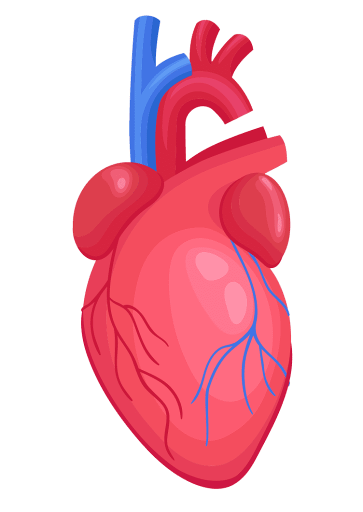Test genetico salute cardiovascolare