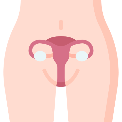uterus 10136030